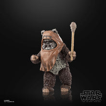 Load image into Gallery viewer, Hasbro STAR WARS - The Black Series 6" PLASTIC FREE PACKAGING - WAVE 12 - WICKET (Return of the Jedi) figure 11 - STANDARD GRADE