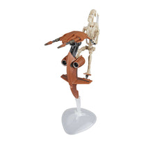 Load image into Gallery viewer, AVAILABILITY LIMITED - Hasbro STAR WARS - The Black Series 6" - HASBRO PULSE-CON EXCLUSIVE - STAP & Battle Droid (The Phantom Menace) 25th Anniversary Vehicle & Figure Pack - STANDARD GRADE