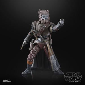 COMING 2024 DECEMBER - PRE-ORDER - Hasbro STAR WARS - The Black Series 6" - WAVE 19 - Pirate Captain Brutus (Port Borgo)(Skeleton Crew) figure 06 - STANDARD GRADE