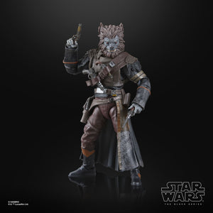 COMING 2024 DECEMBER - PRE-ORDER - Hasbro STAR WARS - The Black Series 6" - WAVE 19 - Pirate Captain Brutus (Port Borgo)(Skeleton Crew) figure 06 - STANDARD GRADE