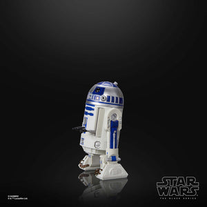 Hasbro STAR WARS - The Black Series 6" - WAVE 14 - R2-D2 (Artoo-Detoo)(The Mandalorian) figure 32 - STANDARD GRADE