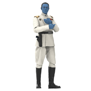 Hasbro STAR WARS - The Black Series 6" - WAVE 17 - Grand Admiral Thrawn (Ahsoka) figure 12 - STANDARD GRADE