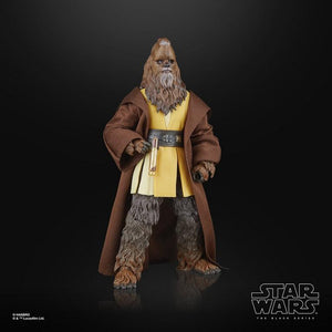 COMING 2025 APRIL - PRE-ORDER - Hasbro STAR WARS - The Black Series 6" - WAVE - Jedi Master Kelnacca (The Acolyte) figure 09 - STANDARD GRADE