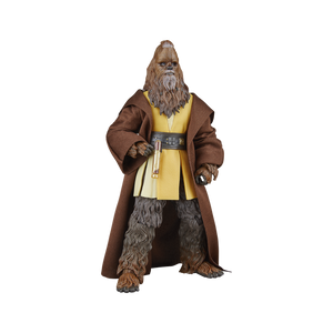 COMING 2025 APRIL - PRE-ORDER - Hasbro STAR WARS - The Black Series 6" - WAVE - Jedi Master Kelnacca (The Acolyte) figure 09 - STANDARD GRADE