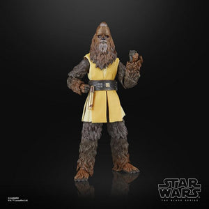 COMING 2025 APRIL - PRE-ORDER - Hasbro STAR WARS - The Black Series 6" - WAVE - Jedi Master Kelnacca (The Acolyte) figure 09 - STANDARD GRADE